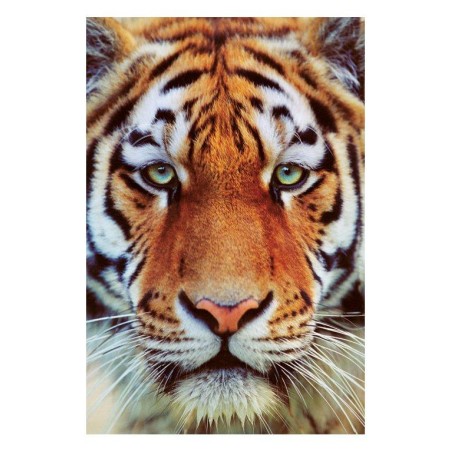 Tiger face