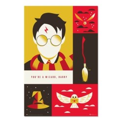 HARRY POTTER - 100 YEARS WB