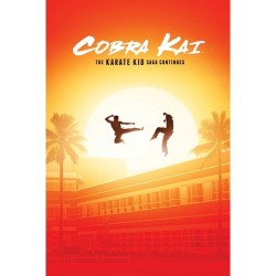 COBRA KAI - THE KARATE KID SAGA CONTINUES