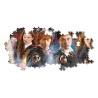 Harry Potter - Pussel - Panorama Portraits 