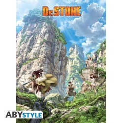 DR STONE - Poster "Stone World"