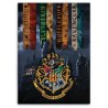 Harry Potter Hogwarts - Filt i fleece