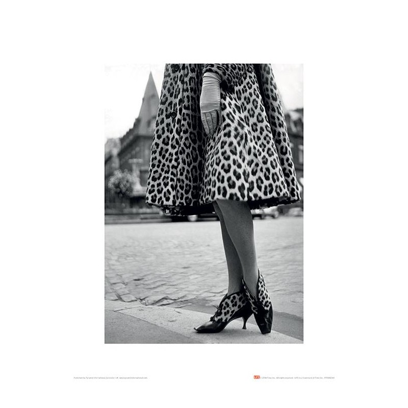 Time Life - Dior Leopard Print