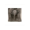 Elephant Baby - Big Ears
