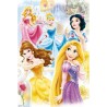 Poster - Disney Princesses – Group