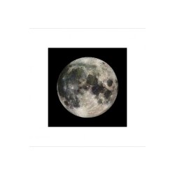 The Moon - Månen