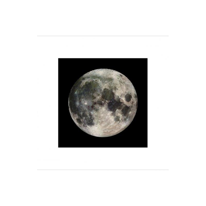 The Moon - Månen