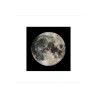 The Moon - Månen