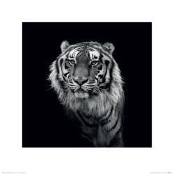 Marina Cano - Into the Dark III