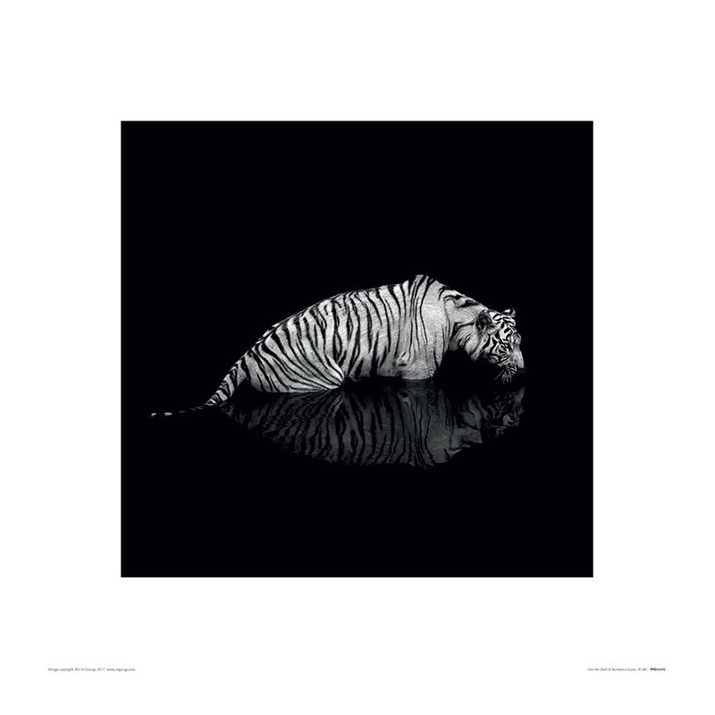 Tiger - Into the Dark II