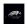 Tiger - Into the Dark II