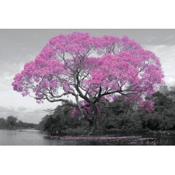 Stor poster - Pink Blossom Tree