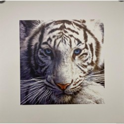 White Tiger 