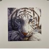 White Tiger 