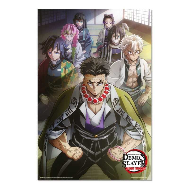 Poster - Demon Slayer – Hashira Training 1