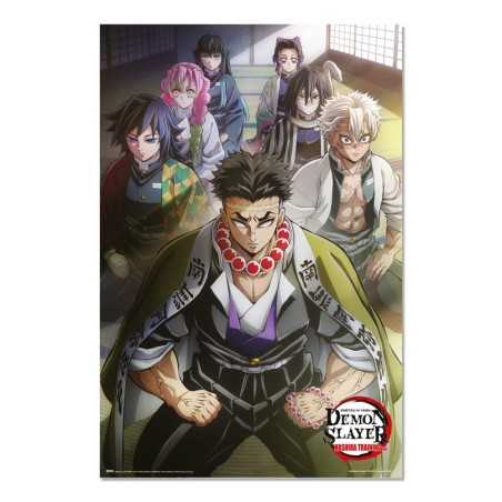 Poster - Demon Slayer – Hashira Training 1