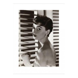 Audrey Hepburn - Blinds