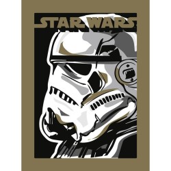 STAR WARS - STORMTROOPER - Art Print