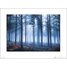 Exklusivt Art Print - Tom Lambert - Winter Tree Landscape