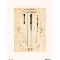 HARRY POTTER - THE WAND - Art Print