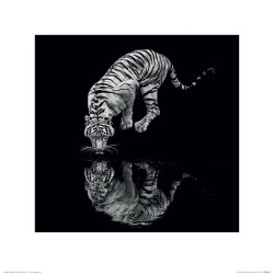 Tiger - Into the Dark I