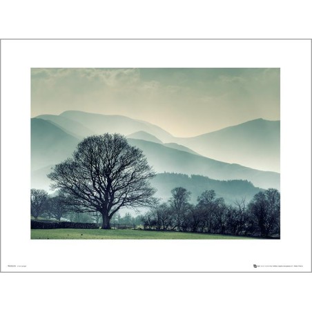Exklusivt Art Print - Winter Tree Landscape