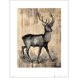 Exklusivt Art Print - Deer Sketch
