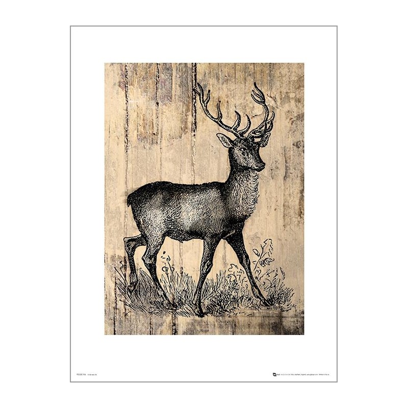 Exklusivt Art Print - Deer Sketch Exklusivt Art Print - Deer Sketch
