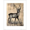 Exklusivt Art Print - Deer Sketch
