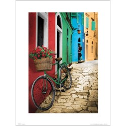 Exklusivt Art Print - Bike - Flowers