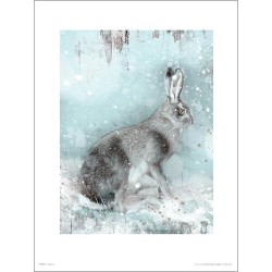 Exklusivt Art Print - Hare in Winter - Hare i vinterlandskap