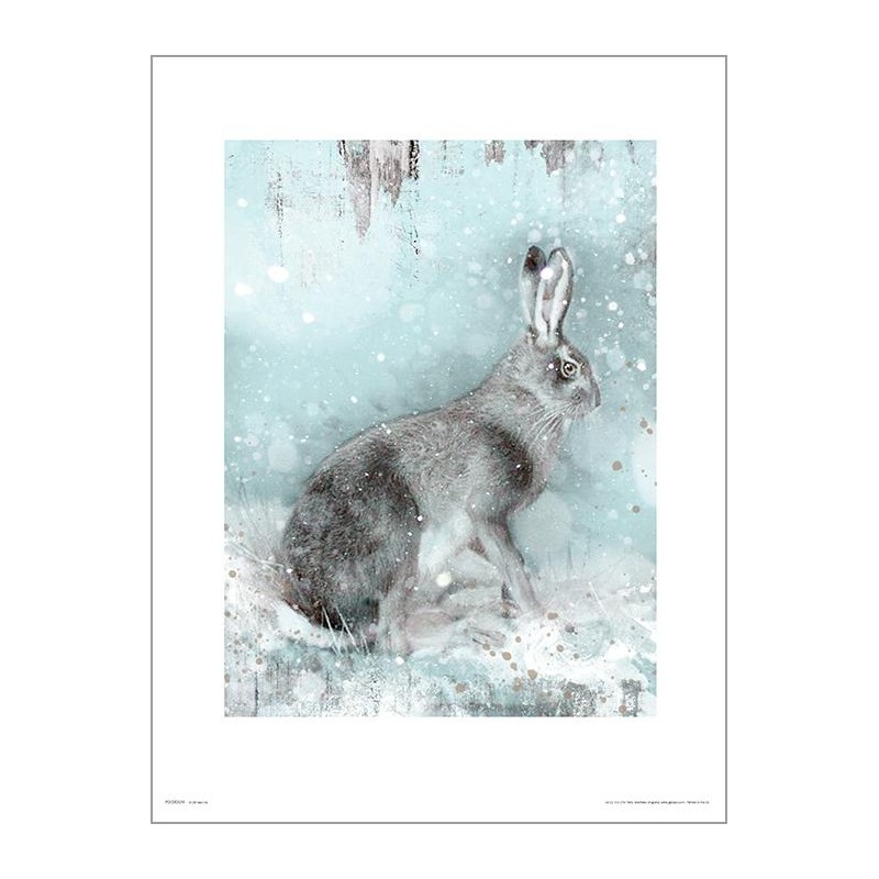 Exklusivt Art Print - Hare in Winter - Hare i vinterlandskap Exklusivt Art Print - Hare in Winter - Hare i vinterlandskap