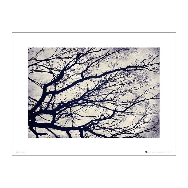 Exklusivt Art Print - Tree branches - Stilistisk träd Exklusivt Art Print - Tree branches - Stilistisk träd