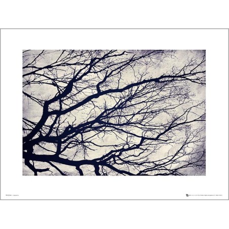 Exklusivt Art Print - Tree branches - Stilistisk träd