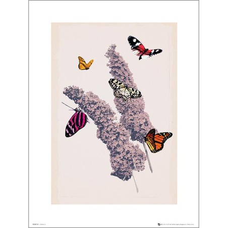 Exklusivt Art Print - Butterflies - Fjärilar