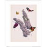 Exklusivt Art Print - Butterflies - Fjärilar