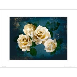 Exklusivt Art Print - Roses Midnight - Vita rosor i natten