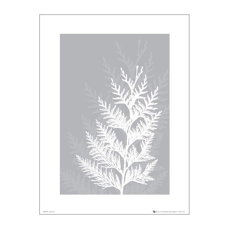 Exklusivt Art Print - Pressed leaf gray - Pressat blad, grå Exklusivt Art Print - Pressed leaf gray - Pressat blad, grå