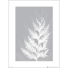 Exklusivt Art Print - Pressed leaf gray - Pressat blad, grå
