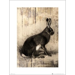 Exklusivt Art Print - Hare Sketch