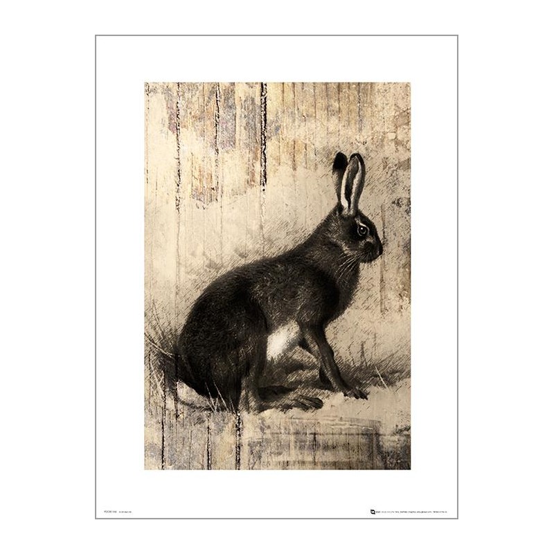 Exklusivt Art Print - Hare Sketch Exklusivt Art Print - Hare Sketch