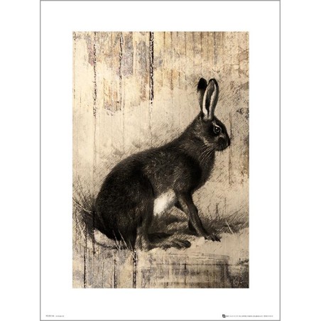 Exklusivt Art Print - Hare Sketch
