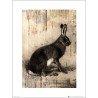 Exklusivt Art Print - Hare Sketch