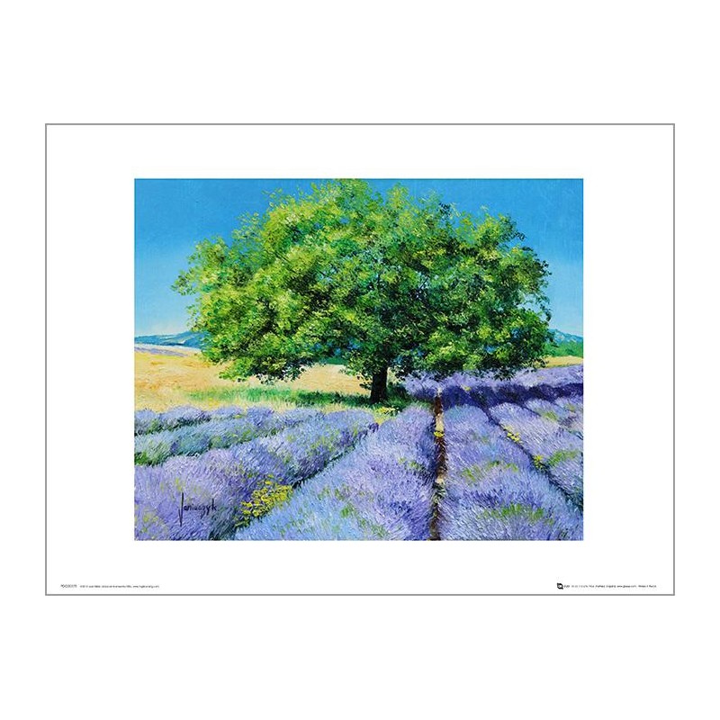 Exklusivt Art Print - Jean-Marc Janiaczyk - Tree and Lavenders Exklusivt Art Print - Jean-Marc Janiaczyk - Tree and Lavenders