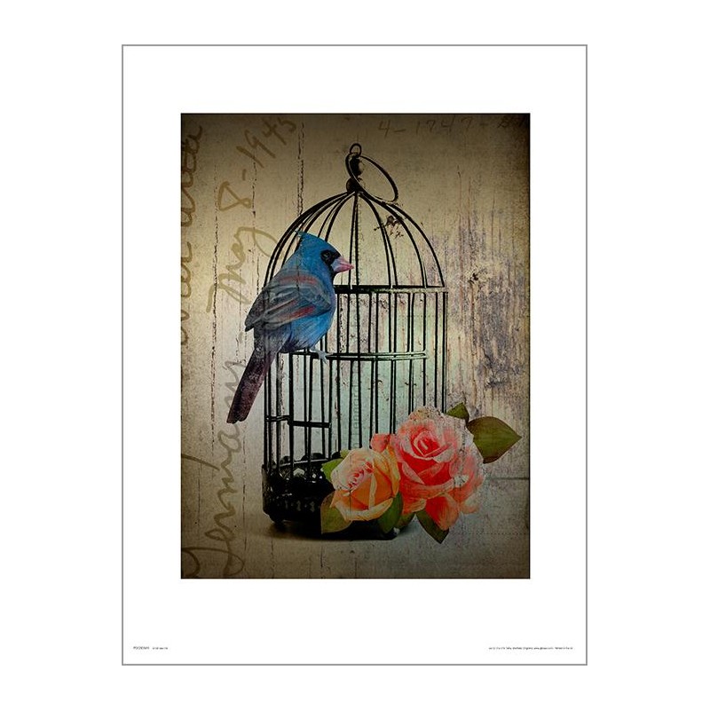Exklusivt Art Print - Birdcage Vintage - Fågelbur Exklusivt Art Print - Birdcage Vintage - Fågelbur