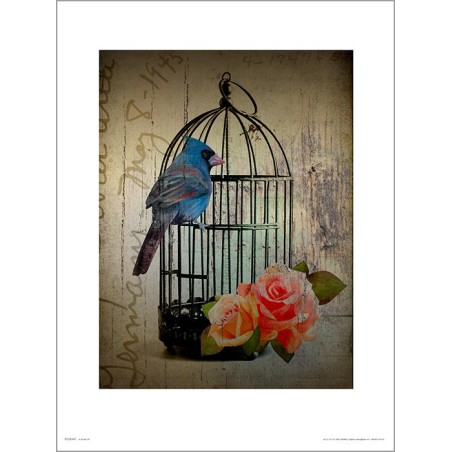 Exklusivt Art Print - Birdcage Vintage - Fågelbur