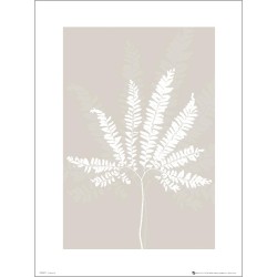 Exklusivt Art Print - Pressed leaf cream - Pressat blad, beige