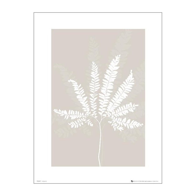 Exklusivt Art Print - Pressed leaf cream - Pressat blad, beige Exklusivt Art Print - Pressed leaf cream - Pressat blad, beige