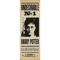 HARRY POTTER UNDESIRABLE NO 1