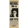 HARRY POTTER UNDESIRABLE NO 1